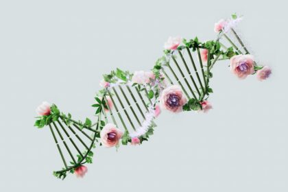 Photo genetic mutation