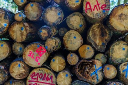 Photo router logs