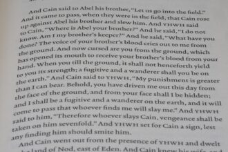 Photo catch brother stealing inheritance