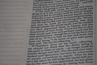 Photo betrayal story