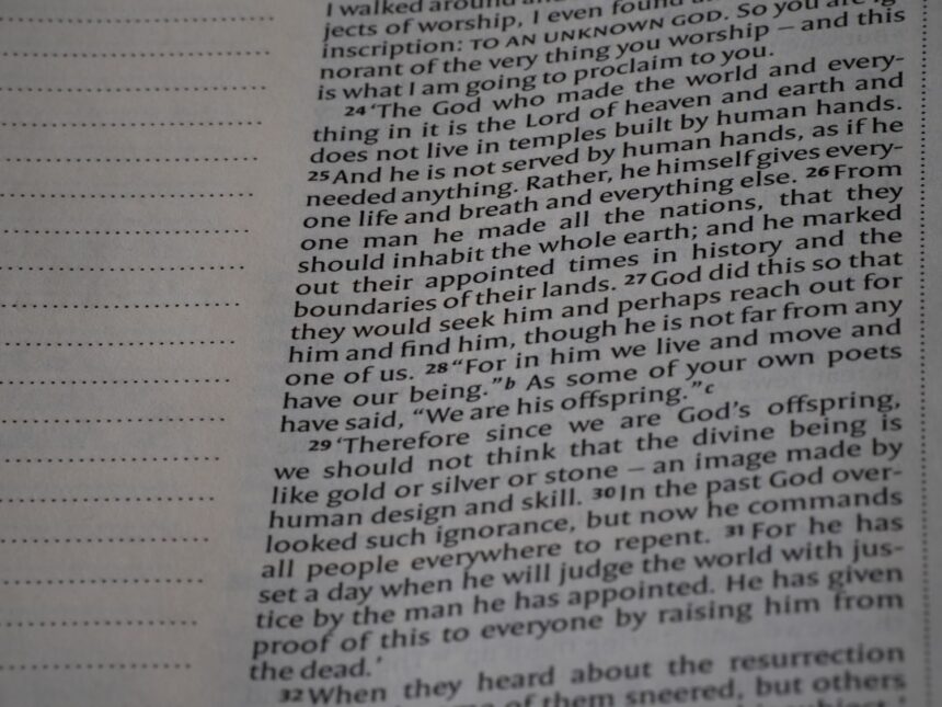 Photo betrayal story