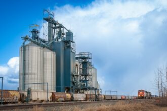 Photo commodity sector business success story