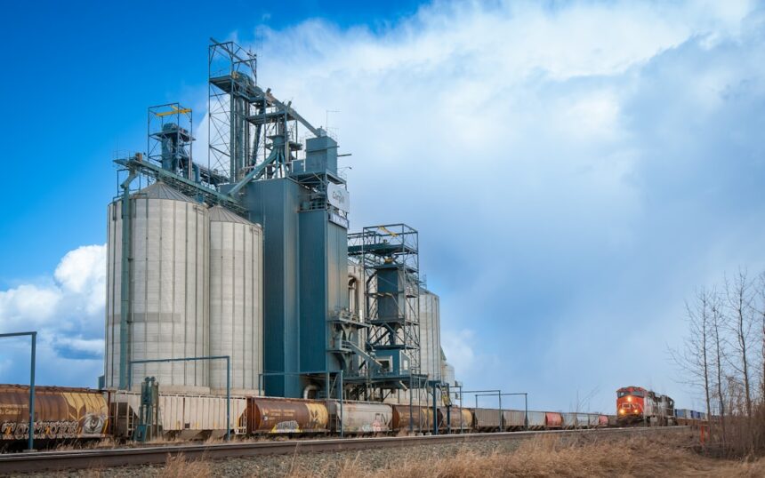 Photo commodity sector business success story