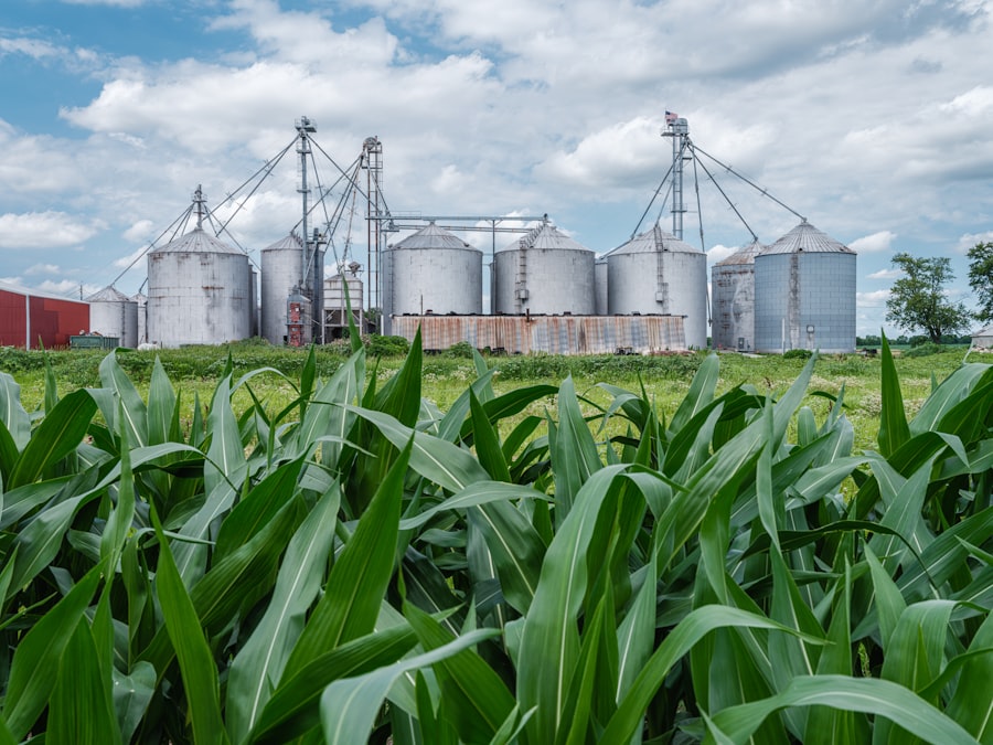 Photo commodity sector business success story